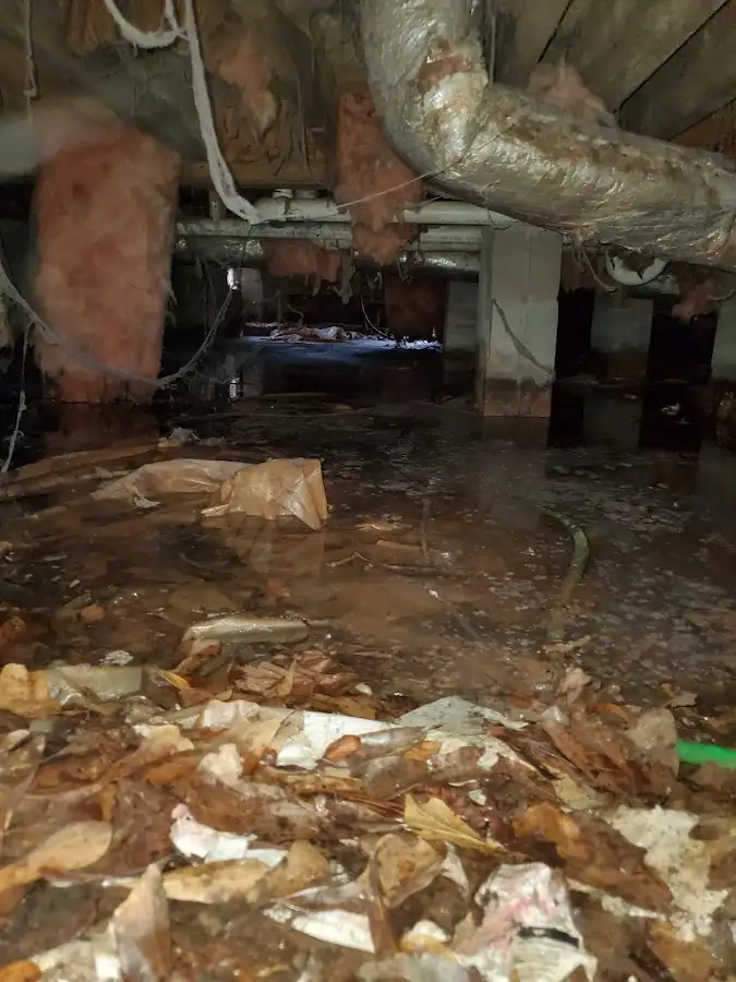 Crawl space flood assessment for Leak Detection & Repair in Kaneohe