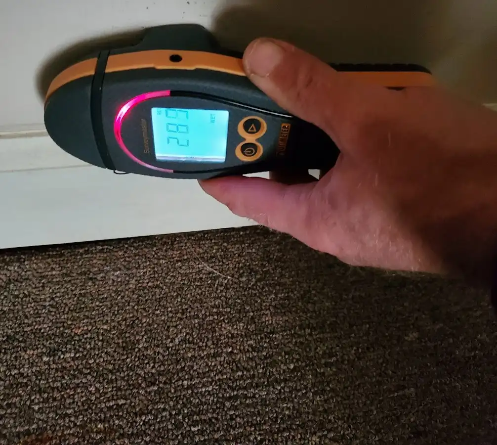 Moisture detection at baseboard during Sewage Cleanup & Sanitation in Kaneohe
